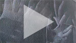 video gallery